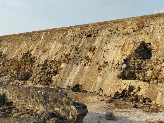 Administration neglects the condition of Mhasardi dam | म्हसर्डी धरणाची दुरवस्थेकडे प्रशासनाचे दुर्लक्ष Administration neglects the condition of Mhasardi dam | म्हसर्डी धरणाची दुरवस्थेकडे प्रशासनाचे दुर्लक्ष