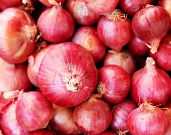 Signs of decline in onion production this year | यंदा कांदा उत्पादन घटण्याची चिन्हे Signs of decline in onion production this year | यंदा कांदा उत्पादन घटण्याची चिन्हे