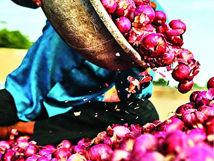 Crisis of onion cultivation facing farmers due to high price of seeds | बियाणे महागल्याने शेतकऱ्यांपुढे कांदा लागवडीचे संकट Crisis of onion cultivation facing farmers due to high price of seeds | बियाणे महागल्याने शेतकऱ्यांपुढे कांदा लागवडीचे संकट