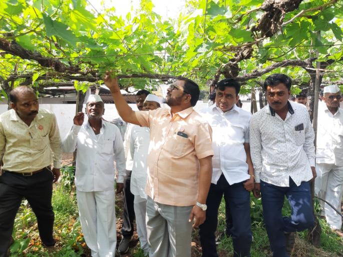 Farmers should get loan waiver: Raju Shetty | शेतकऱ्यांना सरसकट कर्जमाफी द्यावी : राजू शेट्टी Farmers should get loan waiver: Raju Shetty | शेतकऱ्यांना सरसकट कर्जमाफी द्यावी : राजू शेट्टी