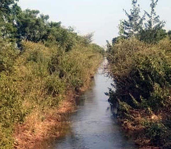 Parbhani: One and a half times ground water | परभणी : दीडशे दलघमी पाणी पळविले