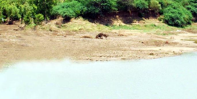 Parbhani: 3% water in 'degros' | परभणी :‘डिग्रस’मध्ये १ टक्का पाणी Parbhani: 3% water in 'degros' | परभणी :‘डिग्रस’मध्ये १ टक्का पाणी