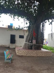 Corporator has self-arranged the beautification of a clean place | नगरसेवकाने स्वखर्चाने केले अस्वच्छ जागेचे सुशोभिकरण Corporator has self-arranged the beautification of a clean place | नगरसेवकाने स्वखर्चाने केले अस्वच्छ जागेचे सुशोभिकरण