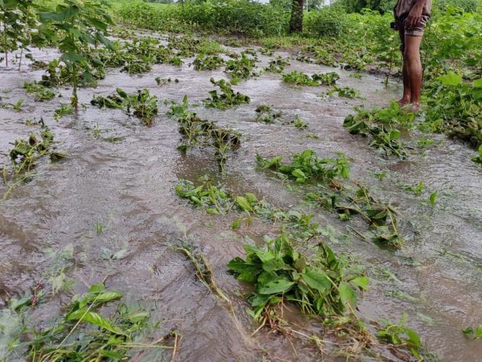 3 houses fall due to heavy rains | कळमसरेत अतिवृष्टीने ३३७ घरांची पडझड  3 houses fall due to heavy rains | कळमसरेत अतिवृष्टीने ३३७ घरांची पडझड