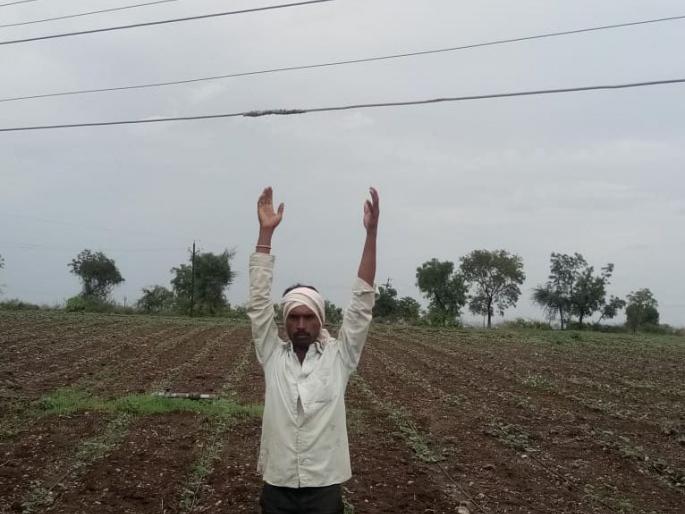 Lethargy electric plants in the fields | शेतात लोंबकळल्या जीवघेण्या वीजतारा Lethargy electric plants in the fields | शेतात लोंबकळल्या जीवघेण्या वीजतारा