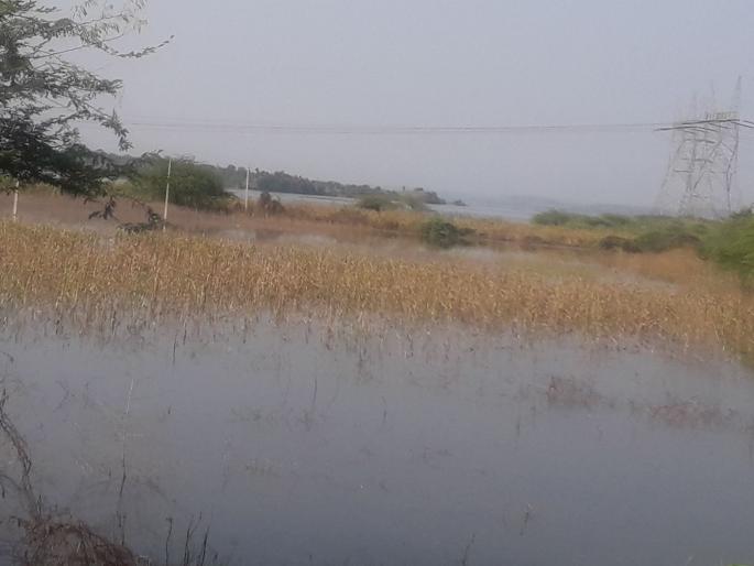 In Bhusawal taluka, panchanamas of crops of over 3,000 hectares are completed | भुसावळ तालुक्यात २४ हजार हेक्टरवरील पिकांचे पंचनामे पूर्ण In Bhusawal taluka, panchanamas of crops of over 3,000 hectares are completed | भुसावळ तालुक्यात २४ हजार हेक्टरवरील पिकांचे पंचनामे पूर्ण