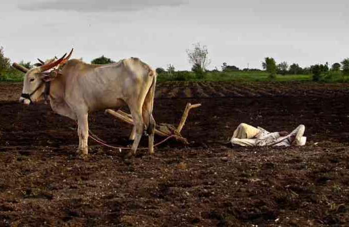Since there is no signs of rainfall, there is a worrisome worry in the farmer's class | पाऊस पडण्याची लक्षणे दिसत नसल्याने शेतकरी वर्गात चिंतेचे वातावरण Since there is no signs of rainfall, there is a worrisome worry in the farmer's class | पाऊस पडण्याची लक्षणे दिसत नसल्याने शेतकरी वर्गात चिंतेचे वातावरण