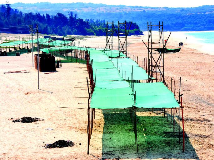 Kukeshwar Mahashivaratri Yatra will start from tomorrow | कुणकेश्वर महाशिवरात्री यात्रोत्सवास उद्यापासून होणार प्रारंभ Kukeshwar Mahashivaratri Yatra will start from tomorrow | कुणकेश्वर महाशिवरात्री यात्रोत्सवास उद्यापासून होणार प्रारंभ