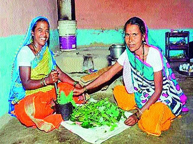 Tribal women in Peth taluka | पेठ तालुक्यातील आदिवासी महिलांची गगनभरारी Tribal women in Peth taluka | पेठ तालुक्यातील आदिवासी महिलांची गगनभरारी