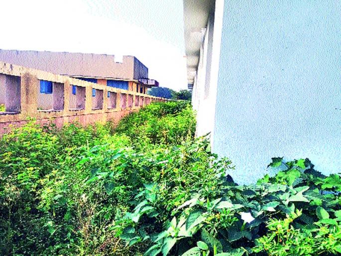 Wadala health center detected | वडाळा आरोग्य केंद्राला घाणीचा विळखा Wadala health center detected | वडाळा आरोग्य केंद्राला घाणीचा विळखा