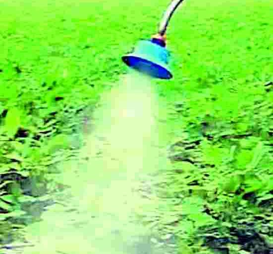 Sale of hazardous insecticides | घातक कीटकनाशकांची विक्री बंदी