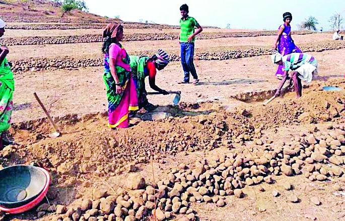Two, hands, pimples, pimples | वाही, पिंपळझरी,पिंपळदरीवासियांचे दुष्काळाशी दोन हात Two, hands, pimples, pimples | वाही, पिंपळझरी,पिंपळदरीवासियांचे दुष्काळाशी दोन हात
