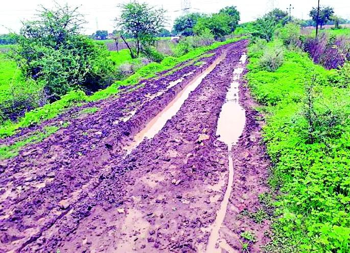 Dilemma of Nimgaon-Phedgaonan Padan road | निमगाव-पढेगाव पांदण रस्त्याची दैनावस्था  Dilemma of Nimgaon-Phedgaonan Padan road | निमगाव-पढेगाव पांदण रस्त्याची दैनावस्था