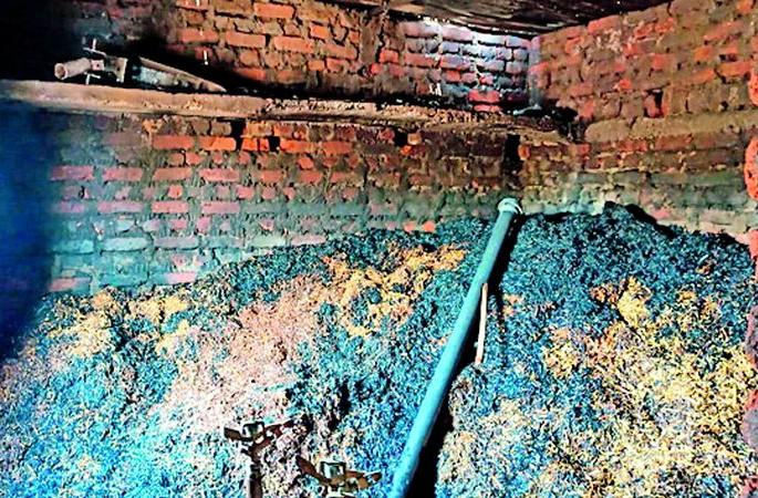 cow house fire at Kanhalgaon | कान्हाळगाव येथे गोठ्याला आग