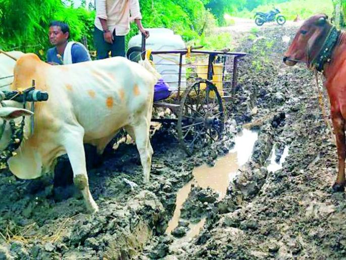 Rural roads in Ralegaon deteriorated | राळेगावातील ग्रामीण रस्ते बिघडले