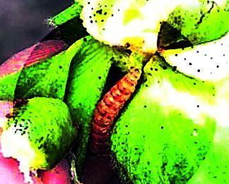 Hearing of 93 thousand complaints | ९३ हजार तक्रारींची सुनावणी रखडली Hearing of 93 thousand complaints | ९३ हजार तक्रारींची सुनावणी रखडली