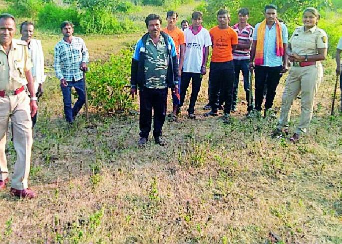 Terror of tigers in Sindhkhed, Khutfali forest | सिंदखेड, खुटाफळी जंगलात वाघाची दहशत Terror of tigers in Sindhkhed, Khutfali forest | सिंदखेड, खुटाफळी जंगलात वाघाची दहशत