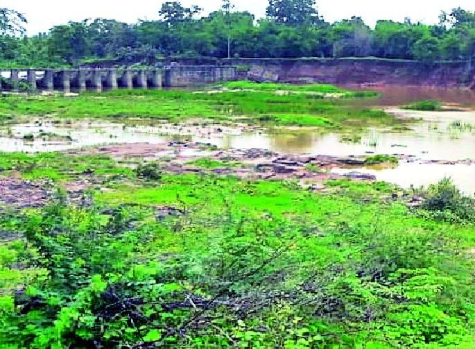 Kolhapuri Dam bridge threatened | कोल्हापुरी बंधाऱ्याचा पुलाला धोका