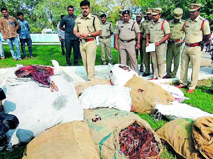 Yavatmal thieves arrested in Adilabad | यवतमाळच्या चोरट्यांना आदिलाबादमध्ये अटक Yavatmal thieves arrested in Adilabad | यवतमाळच्या चोरट्यांना आदिलाबादमध्ये अटक