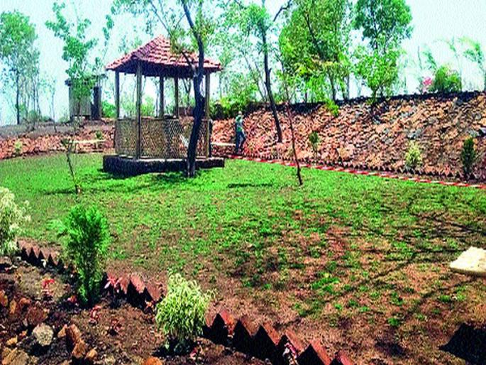 Tourism center to be considered as Tavli Wanidan | तवली वनोद्यान ठरणार पर्यटन केंद्र