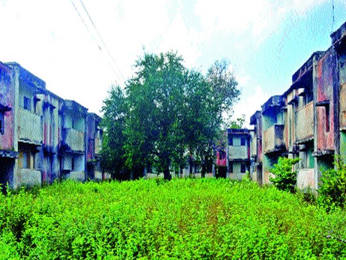 Government colonies fell into dew | शासकीय वसाहती पडल्या ओस Government colonies fell into dew | शासकीय वसाहती पडल्या ओस