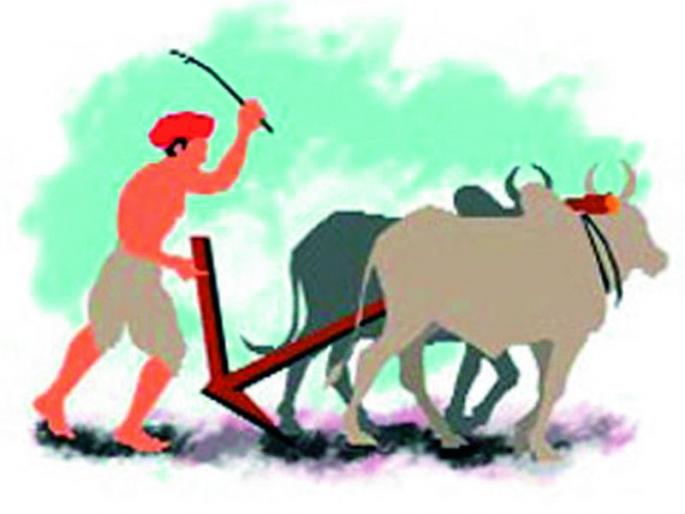 Farmers should not rush to sow | शेतकऱ्यांनो पेरणीची घाई नको