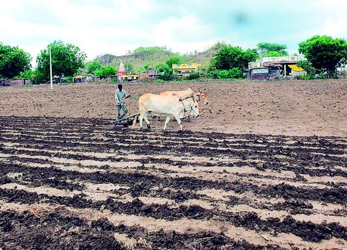 Dust sowing on 13 thousand hectares in danger | 13 हजार हेक्टरवरील धूळ पेरणी धोक्यात