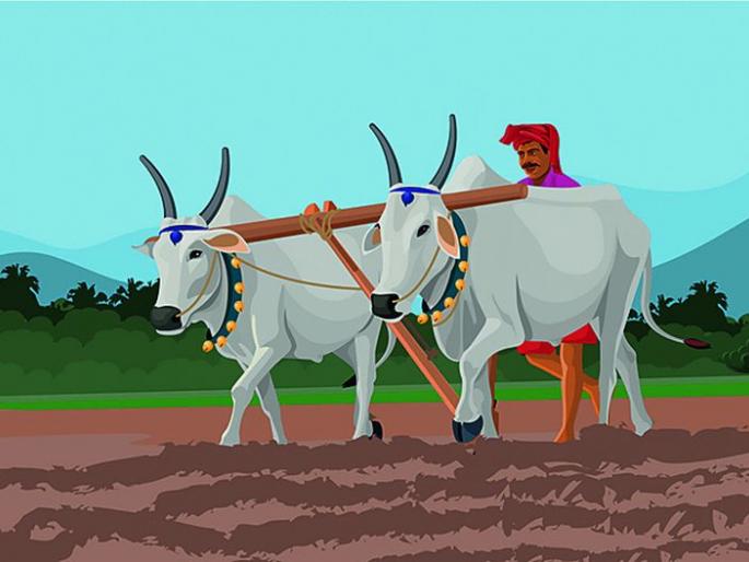 77 Tribes showed inability to farm | 77 आदिवासींनी दर्शविली शेती करण्यास असमर्थता 77 Tribes showed inability to farm | 77 आदिवासींनी दर्शविली शेती करण्यास असमर्थता