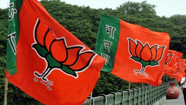 Big organizational change soon in BJP | भाजपमध्ये लवकरच मोठे संघटनात्मक फेरबदल  Big organizational change soon in BJP | भाजपमध्ये लवकरच मोठे संघटनात्मक फेरबदल