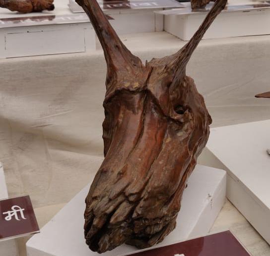 Unique performance of artists and creative works | साहित्य संमेलनात बोलक्या व कल्पक काष्ठशिल्पांचे अनोखे प्रदर्शन Unique performance of artists and creative works | साहित्य संमेलनात बोलक्या व कल्पक काष्ठशिल्पांचे अनोखे प्रदर्शन