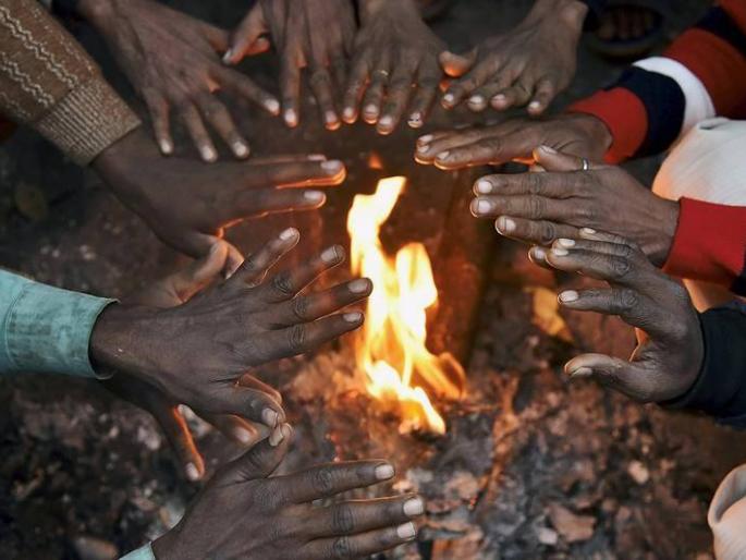 cold wave In Vidarbha | विदर्भात गारठा वाढला, तापमान घटले cold wave In Vidarbha | विदर्भात गारठा वाढला, तापमान घटले