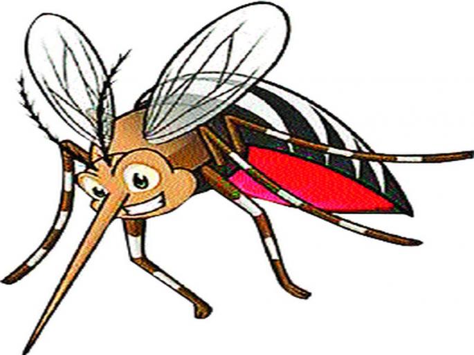 Large shoulders now on the back of dengue | डेंग्यूच्या पार्श्वभूमीवर आता मोठे खांदेपालट Large shoulders now on the back of dengue | डेंग्यूच्या पार्श्वभूमीवर आता मोठे खांदेपालट