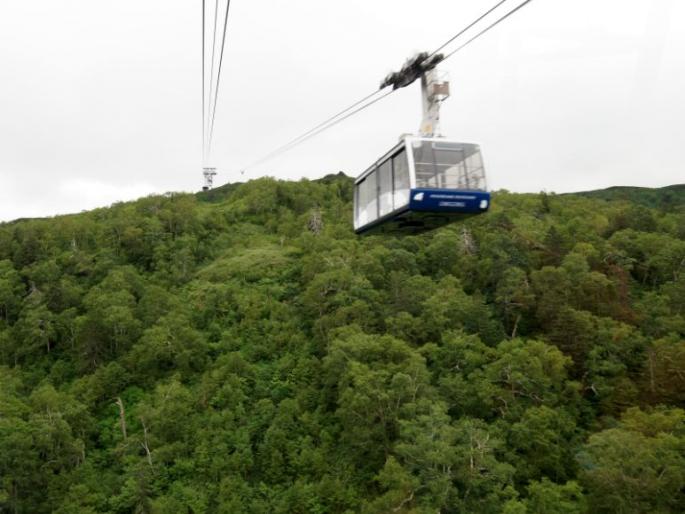 Propose the Rope-Way of the Tadobat of Indo-France Forum's entrepreneurs | इंडो फ्रान्स फोरमच्या उद्योजकांचा ताडोबात रोप-वे चा प्रस्ताव