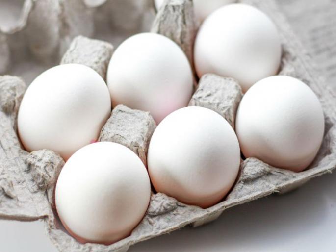 World Eggs Day; Vegetarian students 'dilemma' | जागतिक अंडी दिवस; शाकाहारी विद्यार्थ्यांची ‘कोंडी’ World Eggs Day; Vegetarian students 'dilemma' | जागतिक अंडी दिवस; शाकाहारी विद्यार्थ्यांची ‘कोंडी’