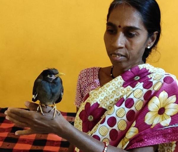 He behaves like a child in the house! | 'तो' वावरतो घरातील जणु मुलासारखा ! He behaves like a child in the house! | 'तो' वावरतो घरातील जणु मुलासारखा !