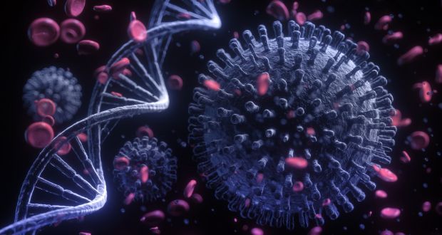 57 patients with mucormycosis in 10 days in Nagpur District | नागपूर जिल्ह्यात म्युकरमायकोसिसचे १० दिवसात ५७ रुग्ण 57 patients with mucormycosis in 10 days in Nagpur District | नागपूर जिल्ह्यात म्युकरमायकोसिसचे १० दिवसात ५७ रुग्ण