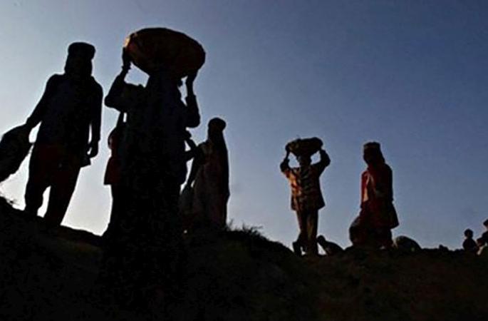 Most of the laborers in MNREGA in the state are in Amravati | राज्यात मनरेगाचे सर्वाधिक मजूर अमरावतीत Most of the laborers in MNREGA in the state are in Amravati | राज्यात मनरेगाचे सर्वाधिक मजूर अमरावतीत