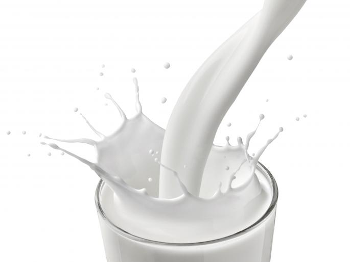 To make the law for milk supply; Milk development minister Mahadev Jankar's rendition | दुधाला हमीभाव मिळण्यासाठी कायदा करणार; दुग्धविकास मंत्री महादेव जानकर यांचे प्रतिपादन To make the law for milk supply; Milk development minister Mahadev Jankar's rendition | दुधाला हमीभाव मिळण्यासाठी कायदा करणार; दुग्धविकास मंत्री महादेव जानकर यांचे प्रतिपादन