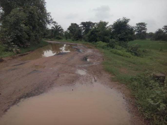 The lake or road? 125 students travel on risky road in Gadchiroli | रस्ता आहे की तलाव? धोकादायक खड्ड्यातून १२५ विद्यार्थ्यांंचा दररोज प्रवास The lake or road? 125 students travel on risky road in Gadchiroli | रस्ता आहे की तलाव? धोकादायक खड्ड्यातून १२५ विद्यार्थ्यांंचा दररोज प्रवास