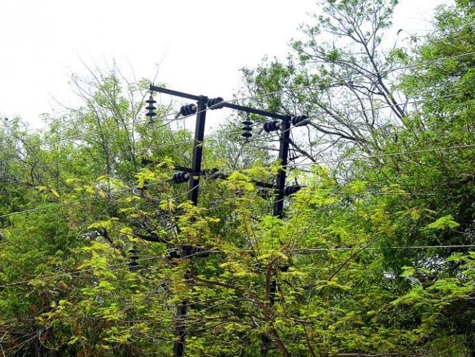 Ignoring pre-monsoon preparation | उपराजधानीत मान्सूनपूर्व अभियानाकडे दुर्लक्ष Ignoring pre-monsoon preparation | उपराजधानीत मान्सूनपूर्व अभियानाकडे दुर्लक्ष