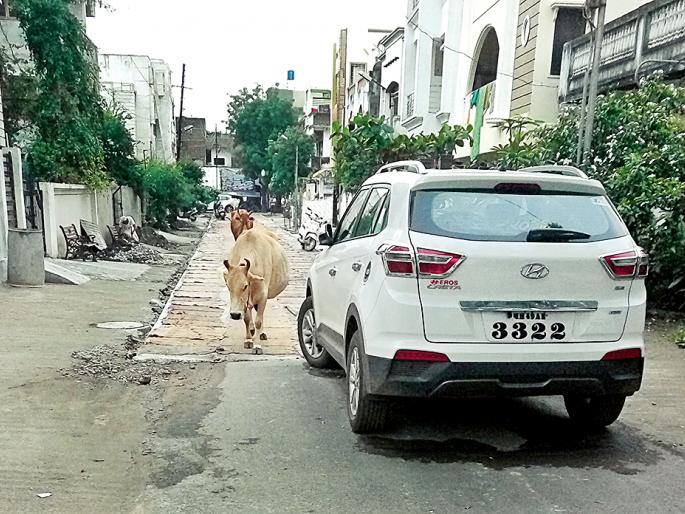 Dustification six months ago; Now symmetry | सहा महिन्यापूर्वी डांबरीकरण; आता सिमेंटीकरण