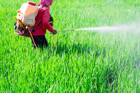 121 people poisoned in two months due to pesticide spraying | कीटकनाशक फवारणीमुळे दोन महिन्यांत १२१ जणांना विषबाधा 121 people poisoned in two months due to pesticide spraying | कीटकनाशक फवारणीमुळे दोन महिन्यांत १२१ जणांना विषबाधा