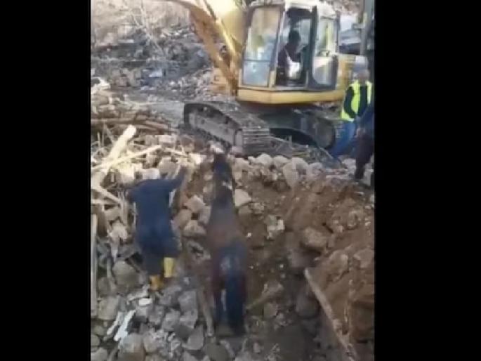Divine miracle! Live horse found under rubble 21 days after earthquake in Turkey, WATCH VIDEO | दैवी चमत्कार! तुर्कीमध्ये भूकंपाच्या 21 दिवसानंतर ढिगाऱ्याखाली जिवंत घोडा सापडला, पाहा VIDEO Divine miracle! Live horse found under rubble 21 days after earthquake in Turkey, WATCH VIDEO | दैवी चमत्कार! तुर्कीमध्ये भूकंपाच्या 21 दिवसानंतर ढिगाऱ्याखाली जिवंत घोडा सापडला, पाहा VIDEO