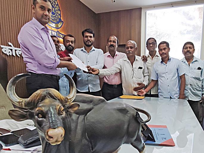 Control the gaur that are damaging agriculture, Panhala farmers demand from the Forest Department | Kolhapur: शेतीचे नुकसान करणाऱ्या गव्यांचा बंदोबस्त करा, पन्हाळ्याच्या शेतकऱ्यांची वनविभागाकडे मागणी Control the gaur that are damaging agriculture, Panhala farmers demand from the Forest Department | Kolhapur: शेतीचे नुकसान करणाऱ्या गव्यांचा बंदोबस्त करा, पन्हाळ्याच्या शेतकऱ्यांची वनविभागाकडे मागणी