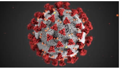 Corona virus in Nagpur: For the second day in a row, the number of patients in the city is less than 500 | CoronaVirus in Nagpur : सलग दुसऱ्या दिवशी शहरातील रुग्णसंख्या ५०० च्या आत Corona virus in Nagpur: For the second day in a row, the number of patients in the city is less than 500 | CoronaVirus in Nagpur : सलग दुसऱ्या दिवशी शहरातील रुग्णसंख्या ५०० च्या आत