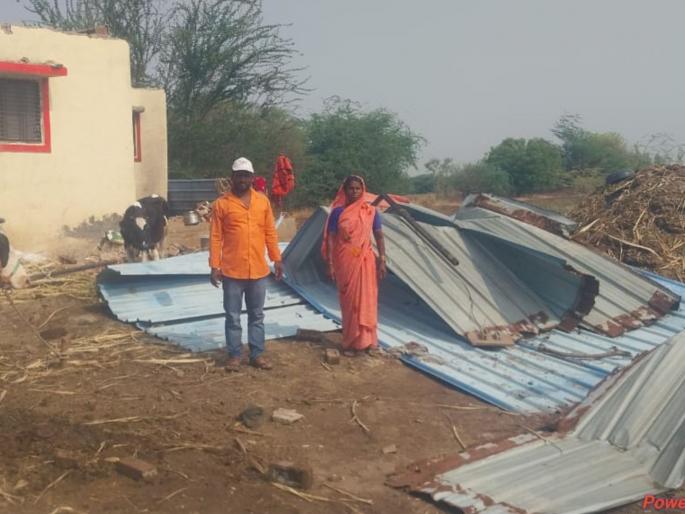 Wind blew leaves from houses, killed calf due to lightning, damaged agricultural crops | वादळी वाऱ्याने घरावरील पत्रे उडाले, वीज पडून वासराचा मृत्यू, शेती पिकांचे नुकसान Wind blew leaves from houses, killed calf due to lightning, damaged agricultural crops | वादळी वाऱ्याने घरावरील पत्रे उडाले, वीज पडून वासराचा मृत्यू, शेती पिकांचे नुकसान