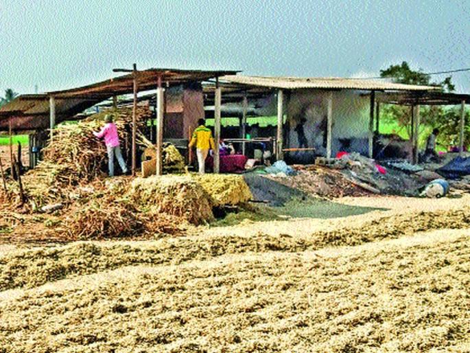 The rate of livestock is heavy to the factory | गुऱ्हाळांचा दर कारखान्याला भारी