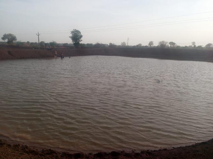 Water taken from the river in farm lake to fishery | नदीतील पाणी शेततळ्यात घेऊन केली मत्स्यशेती Water taken from the river in farm lake to fishery | नदीतील पाणी शेततळ्यात घेऊन केली मत्स्यशेती