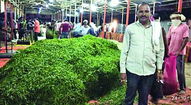 Rajura's pepper demand abroad | राजुराच्या मिरचीला परदेशात मागणी Rajura's pepper demand abroad | राजुराच्या मिरचीला परदेशात मागणी