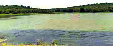 Nature Safari from Pohra, Chirodi Forest | पोहरा, चिरोडी जंगलात निसर्ग सफारी आजपासून Nature Safari from Pohra, Chirodi Forest | पोहरा, चिरोडी जंगलात निसर्ग सफारी आजपासून